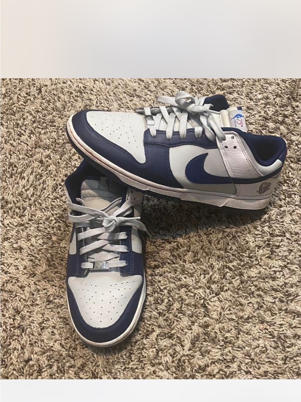 Nike Dunk Low Trainers